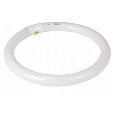 Tub neon circular 32W #77756062